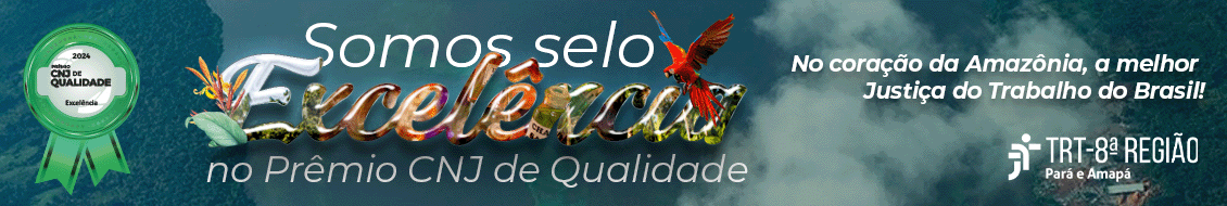 Arte com fundo verde e o seguinte texto: Somos Excelência no Prêmio Nacional do CNJ de Qualidade