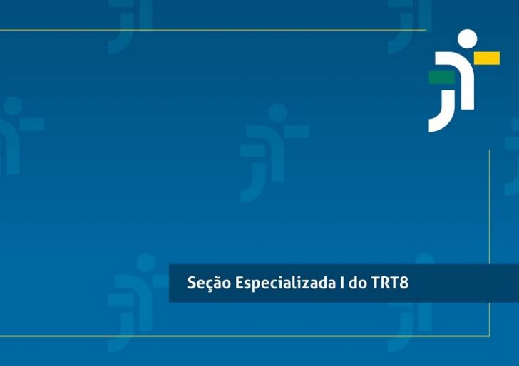 Arte informativa da Seção Especializada 1