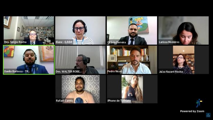 Captura de tela do webinário