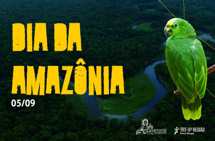 Arte com uma fotografia aérea da Amazônia. Alinhado à esquerda, o texto "Dia da Amazônia" em amarelo. À direita, um papagaio ver
