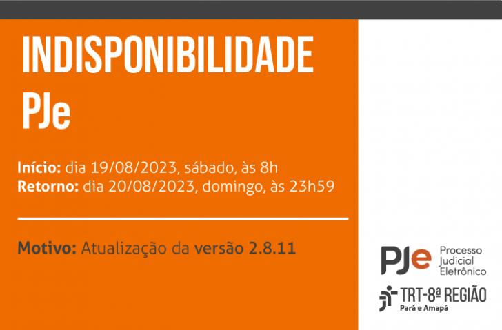 Arte gráfica com fundo laranja. No centro o texto "Indisponibilidade PJe" e abaixo as informações encontradas no texto.