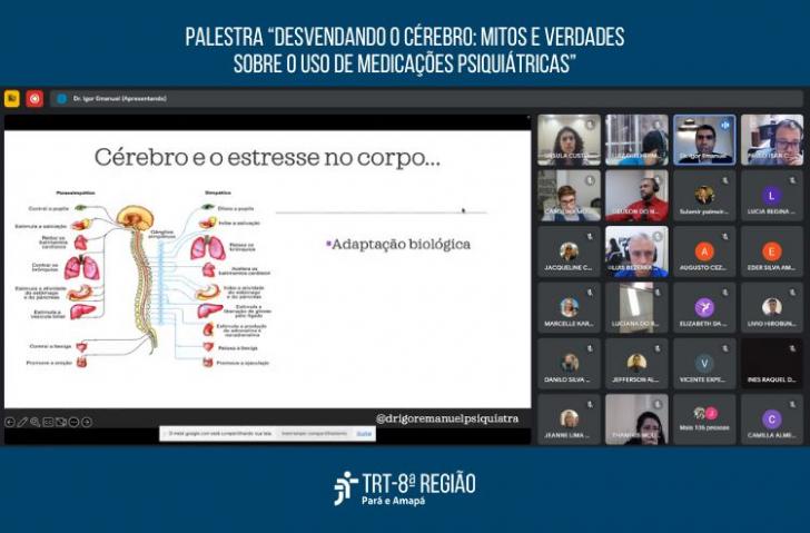 Captura de tela de uma chamada de vídeo. Abaixo, a logomarca do TRT-8.