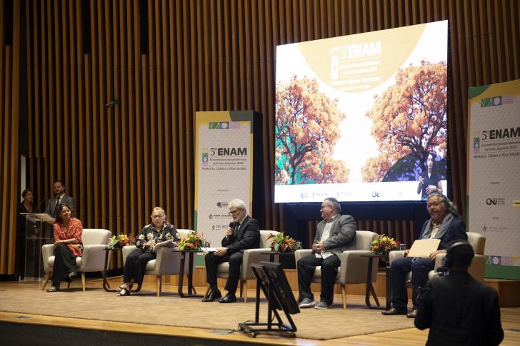 Foto no TJ Goiás, durante painel com os magistrados Ingrid Sliwka, Sulamir Monassa, Elvecio Moura, Anita Lübbe e Carlos Böttcher
