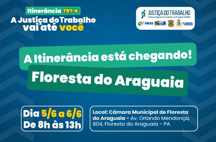 #ParaTodosVerem: Card nas cores azul, branco, verde e amarelo. Na parte superior do lado esquerdo o texto: Itinerância TRT-8. A