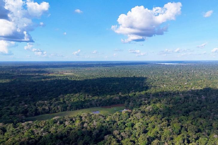 #ParaTodosVerem: Fotografia colorida da Floresta Amazônica - Foto: Luiz Silveira/Agência CNJ