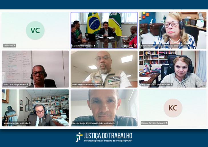 Descrição de imagem: Captura de tela de uma chamada de vídeo