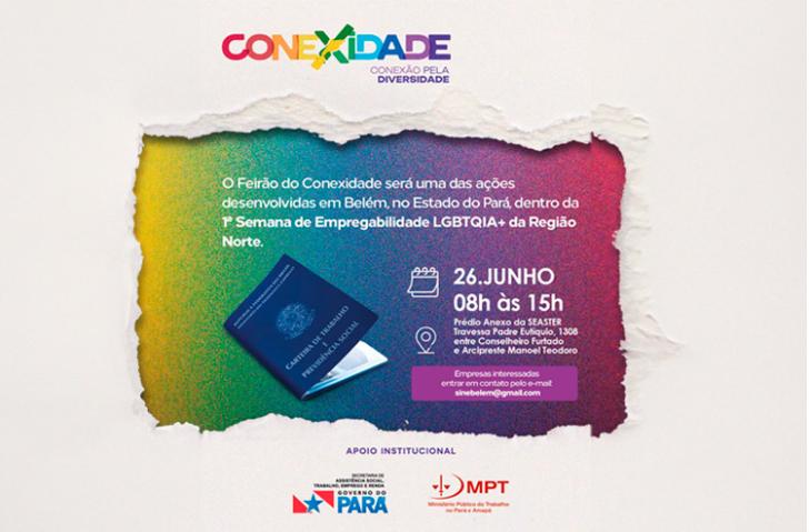 #ParaTodosVerem: Arte gráfica com fundo colorido e borda branca. No card, o texto: Conexidade. Conexão pela diversidade. O Feirã
