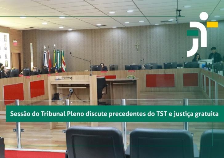 Foto em ambiente fechado mostrando a sessão do pleno.