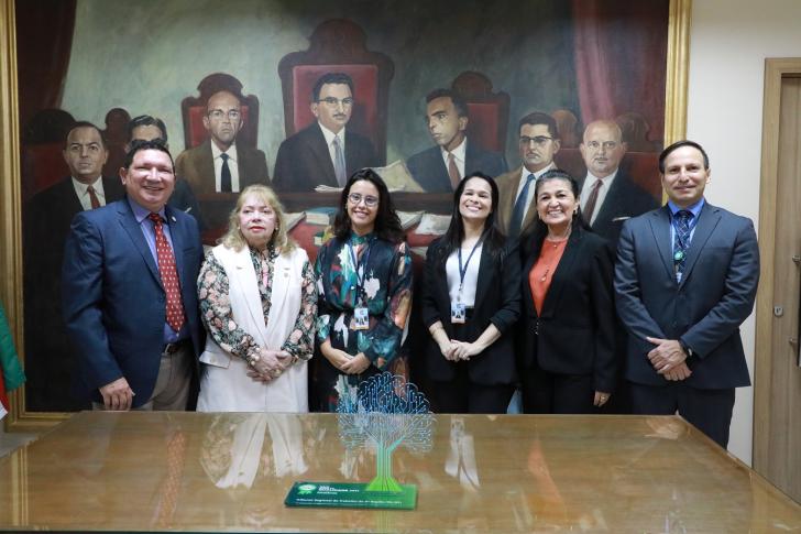 Foto dos desembargadores Luis Ribeiro e Sulamir Monassa, e os servidores Paola Alves, Érica Sousa, Regina Uchôa e Rodopiano Neto