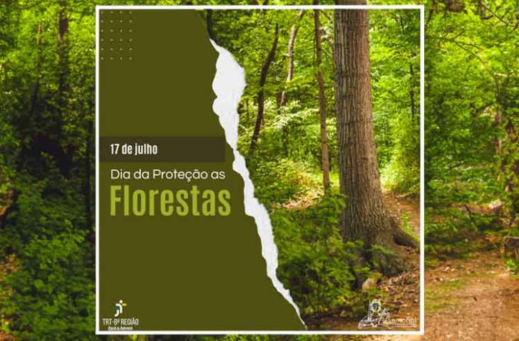 #ParaTodosVerem: Fotografia colorida de uma floresta. Do lado esquerdo na cor verde os dizeres: 17 de julho. Dia da Proteção as