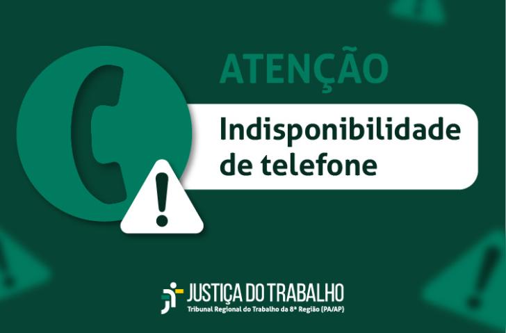 #ParaTodosVerem: Arte gráfica na cor verde escura. do lado esquerdo um ícone de um telefone e um ponto de exclamação.