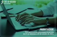 JT8 disponibiliza números de produtividade