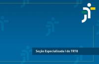 Arte informativa da Seção Especializada 1 