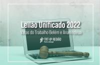 Arte que divulga o Leilão Unificado 2022