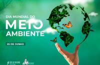 Arte alusiva ao Dia Mundial do Meio Ambiente 