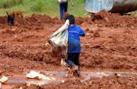 Imagem de uma criança no trabalho infantil