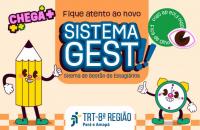 Arte de divulgação do sistema GEST