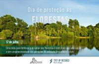 Arte de divulgação
