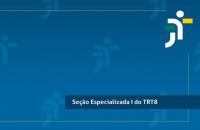 Informação da Seção Especilaizada 1
