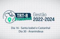 Arte gráfica nas cores branca, cinza e azul do projeto TRT-8 Presente
