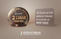 Arte com fundo marrom claro, ao lado esquerdo, uma medalha de bronze com a logo do TRT-8 e os dizeres "3º lugar Prêmio IGEST".