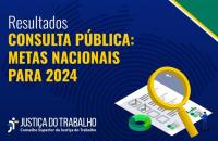 arte gráfica com fundo azul e o texto Resultados da Consulta de Pesquisa de Metas Nacionais 2024