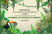 Arte gráfica em fundo bege com elementos de natureza relacionados às florestas