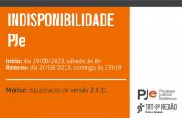 Arte gráfica com fundo laranja. No centro o texto "Indisponibilidade PJe" e abaixo as informações encontradas no texto.