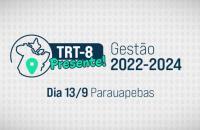 Arte com fundo cinza e ícone de localização. Centralizado a logomarca do Projeto TRT-8 Presente. 