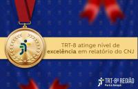 Arte gráfica com o fundo azul escuro e uma medalha dourada alinhada ao lado esquerdo. Ao centro, uma faixa amarela