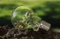 Lâmpada com uma muda de planta no interior para representar uma ideia sustentável. 