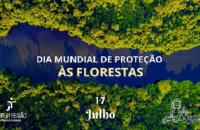 Arte com o fundo azul. Em uma tarja azul escuro com letra branca, texto “Seção Especializada I do TRT-8”. No canto superior dire
