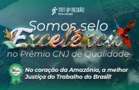 Arte gráfica nas cores verde com informações contidas no texto. 