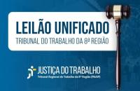 Descrição de imagem:Arte gráfica nas cores azul e branco. No card o texto: Leilão unificado. Tribunal do Trabalho da 8ª Região. 