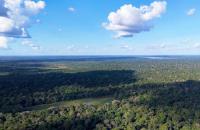 #ParaTodosVerem: Fotografia colorida da Floresta Amazônica - Foto: Luiz Silveira/Agência CNJ