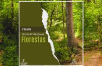 #ParaTodosVerem: Fotografia colorida de uma floresta. Do lado esquerdo na cor verde os dizeres: 17 de julho. Dia da Proteção as 