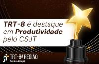 #ParaTodosVerem: Arte gráfica contendo o texto: TRT-8 é destaque em Produtividade pelo CSJT. Ao lado, um troféu contendo uma est