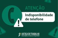 #ParaTodosVerem: Arte gráfica na cor verde escura. do lado esquerdo um ícone de um telefone e um ponto de exclamação.