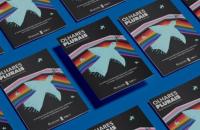 Arte gráfica contendo a imagem da capa do boletim "Olhares Plurais"