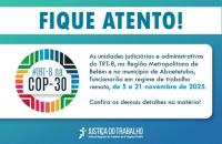 Arte gráfica nas cores azul, verde e amarelo. No lado esquerdo a logo do TRT-8 na COP30 e informações contidas no texto.