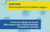 Arte: Fundo azul claro com imagens de vírus e informações da decisão.