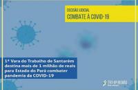 Arte: Fundo azul claro com imagens de vírus e informações da decisão.