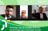 Arte em verde, com capturas de tela da videoconferência. 