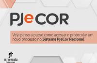 Arte: PJeCor