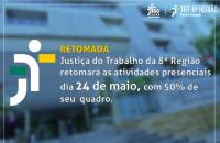 arte padrão 