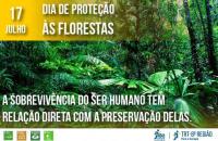 foto de uma floresta nativa.