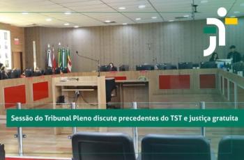 Foto em ambiente fechado mostrando a sessão do pleno.