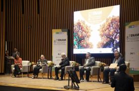 Foto no TJ Goiás, durante painel com os magistrados Ingrid Sliwka, Sulamir Monassa, Elvecio Moura, Anita Lübbe e Carlos Böttcher