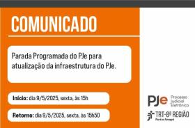 Arte gráfica nas cores branca e laranja com informações contidas no texto. No rodapé do lado direito, a logo do PJe e do TRT-8